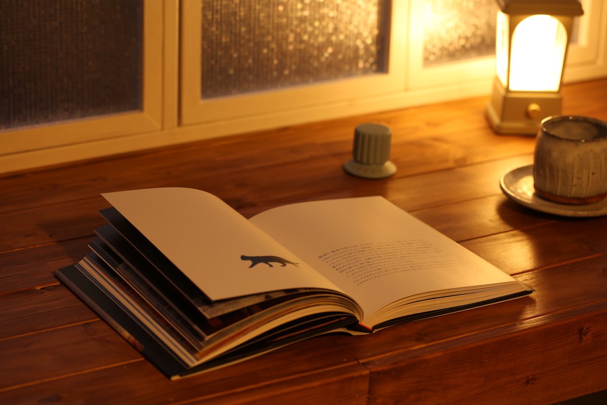 【秋の夜長の物語】お気に入りの空間で読む一冊は...